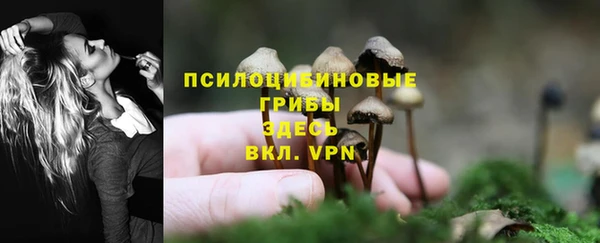 каннабис Лабытнанги