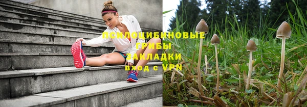 2c-b Липки