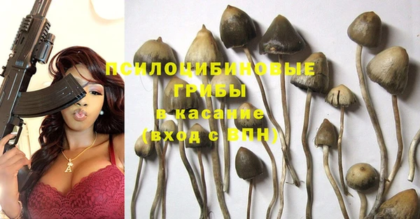 каннабис Лабытнанги
