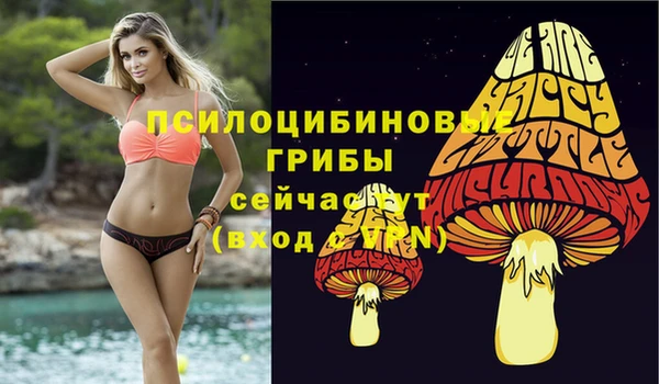 ALPHA PVP Гатчина