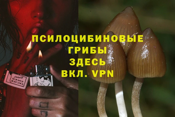 дмт Лагань