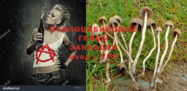 Альфа ПВП Лихославль